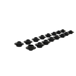 PIPER CAMS piattelli molle valvole per Ford 1.8/2.0L 16v Zetec Black Top, V1