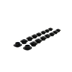 PIPER CAMS piattelli molle valvole per Ford 1.8/2.0L 16v Zetec Black Top, V2