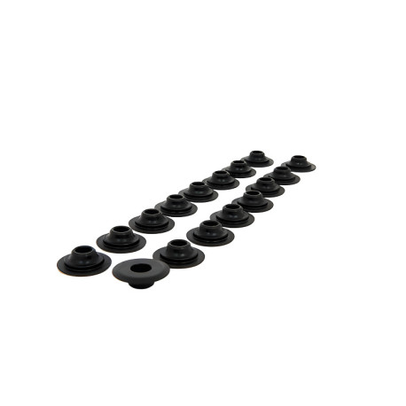 Parti del motore PIPER CAMS piattelli molle valvole per Ford 2.3L EcoBoost, V1 | race-shop.it