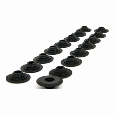Parti del motore PIPER CAMS piattelli molle valvole per Ford 2.3L EcoBoost, V2 | race-shop.it