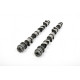 Parti del motore Piper Camshaft Ford 1.6L 16v TI-VCT Sigma Fast Road | race-shop.it