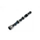 Parti del motore Piper Camshaft Triumph 2.0/2.5 6-Cyl Race | race-shop.it