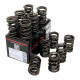 Parti del motore PIPER CAMS molle valvole per Austin Healey 3000 (doppie) | race-shop.it