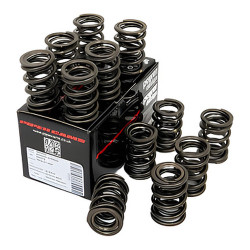 PIPER CAMS molle valvole per Austin Healey 3000 (doppie)