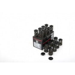 Piper Double Valve Springs Inc Caps Opel C20XE /C20LET