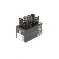 PIPER CAMS kit molle valvole per Volvo B18 (doppie)