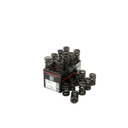 PIPER CAMS molle valvole per Ford 2.0L Cosworth YB (doppie)