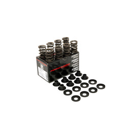 PIPER CAMS molle valvole per Lotus Twin Cam 8v (doppie, con piattelli)
