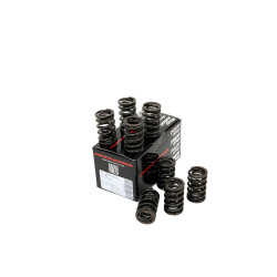 PIPER CAMS molle valvole per BMC A-Series (doppie), V1
