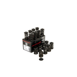 PIPER CAMS molle valvole per Peugeot/Citroën 2.0L 16v XU10J4RS (doppie, con piattelli)
