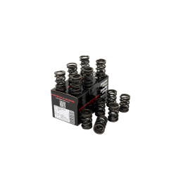 PIPER CAMS molle valvole per Triumph 2.0/2.5L R6 (doppie)