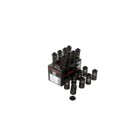 PIPER CAMS kit molle valvole per Peugeot/Citroën 1.6L 16v TU5JP4 (doppie)