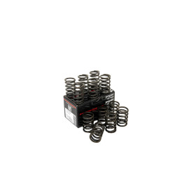 PIPER CAMS molle valvole per Ford 3.0L V6 Essex (singole)