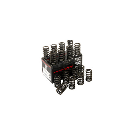 Parti del motore PIPER CAMS molle valvole per Ford 1.8/2.0L 16v Zetec Silver Top (singole) | race-shop.it