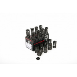 PIPER CAMS kit molle valvole per Ford 1.8/2.0/2.3L 16v Duratec (singole)