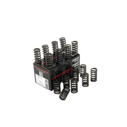 PIPER CAMS molle valvole per Ford 1.6L EcoBoost (singole)