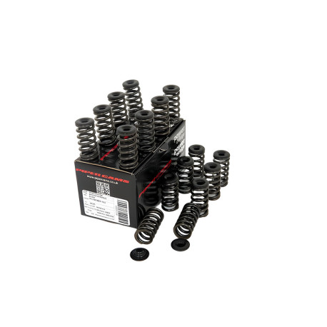 Parti del motore PIPER CAMS kit molle valvole per Ford 1.6L EcoBoost (singole) | race-shop.it