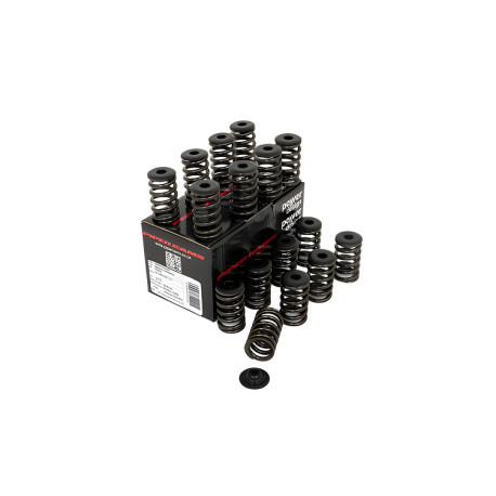 Parti del motore PIPER CAMS kit molle valvole per Ford 2.3L EcoBoost (singole) | race-shop.it