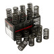 Parti del motore PIPER CAMS molle valvole per Rover K-Series 16v (singole) | race-shop.it