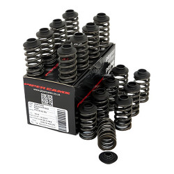 PIPER CAMS kit molle valvole per Ford 2.0L 16v ST170 (singole, con piattelli)