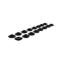 PIPER CAMS piattelli molle valvole per Ford 2.0L 16v ST170