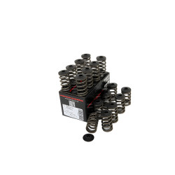PIPER CAMS kit molle valvole per Mitsubishi 4G63 Evo 1-9 (singole, con piattelli)
