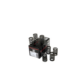 PIPER CAMS molle valvole per Peugeot/Citroën 1.4L TU3 (monoblocco in alluminio, singole)