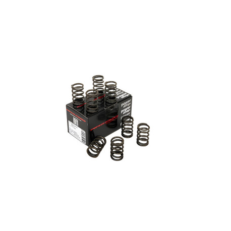 Parti del motore PIPER CAMS molle valvole per Renault 1.4L 8v 840/730 (singole) | race-shop.it