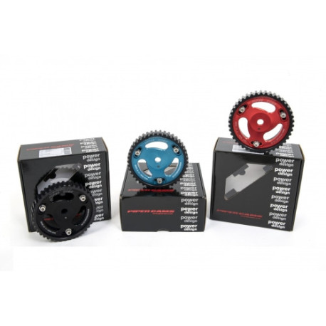 Parti del motore Piper Vernier Pulley Peugeot/Citroen 2.0L 16v XU10J4RS | race-shop.it