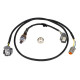 Haltech Haltech NTK Wideband hardware pack | race-shop.it