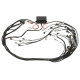 Haltech Haltech 6 Channel Flying Lead Ignition Harness | race-shop.it