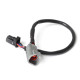 Motec Haltech CAN Ada Cable DTM-4 F to 8 pin Black Tyco 75mm (3") | race-shop.it