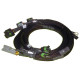 Motec Haltech 8 Chan High Output Ignition Coil Harn Only GM/Chrysl | race-shop.it