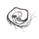 Haltech Haltech Elite 2000/2500 Toy 2JZ Term Main Engine Harn only | race-shop.it