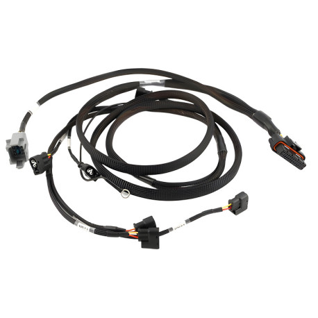 Haltech Haltech Elite 2000/2500 Toy 2JZ Term HPI6 Ignition Harn only | race-shop.it