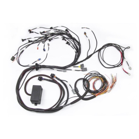 Motec Haltech E2000/2500 RB Terminated Engine Harness Only | race-shop.it