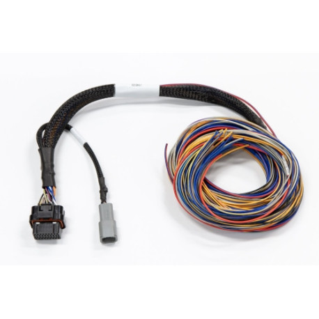 Haltech Haltech Elite PRO Direct Plug-in Auxiliary Flying Lead Harn | race-shop.it