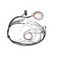 Haltech Haltech Elite 1000/1500 Maz 13B S6-8 Term Harn Only IGN-1A i | race-shop.it