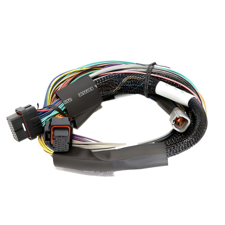 Haltech Haltech Elite 2500 - 2.5m (8 ft) Basic Uni Wire-in Harn Only | race-shop.it