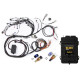 Motec Haltech RB Term Harness Base Kit, Elite 2500 ECU, ATS, CTS | race-shop.it