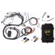 Motec Haltech RB Twin CAM Elite 2500 ECU, Main Harn, CAS Breakout, | race-shop.it