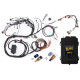 Motec Haltech RB Twin CAM Elite 2500 ECU, Main Harn, CAS Breakout, | race-shop.it