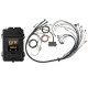 Haltech Haltech Elite 2500 V8 Big & Small Block Term Harn Kit - EV1 | race-shop.it