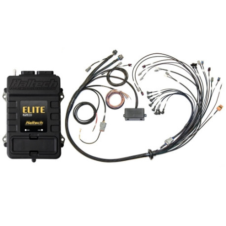 Haltech Haltech Elite 2500 V8 Big & Small Block Term Harn Kit - EV1 | race-shop.it