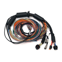 Haltech Nexus R3 Universal Wire-in Harness - 2.5m (8`)