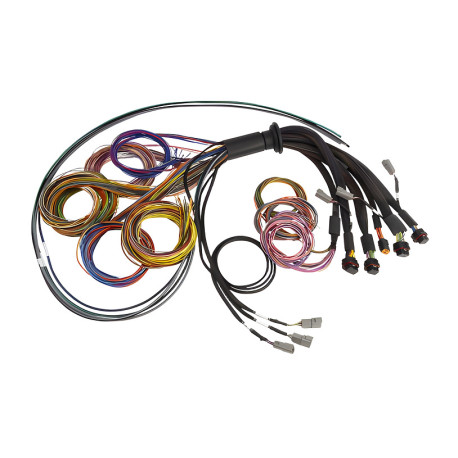 Haltech Haltech Nexus R5 Basic Universal Wire-In harness- 5M (16`) | race-shop.it