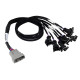 Haltech Haltech Nexus V8 Junior Timer (EV1) Injector Primary Breakou | race-shop.it