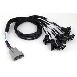 Haltech Nexus V8 Junior Timer (EV1) Injector Primary Breakou