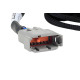 Haltech Haltech Nexus V8 Junior Timer (EV1) Injector Primary Breakou | race-shop.it