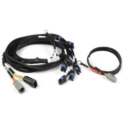Haltech Nexus V8 IGN-1A GM/Chrysler Harness